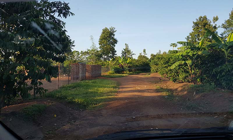 Blumenbunt Ugandabericht – angekommen Visonary Learning Centre